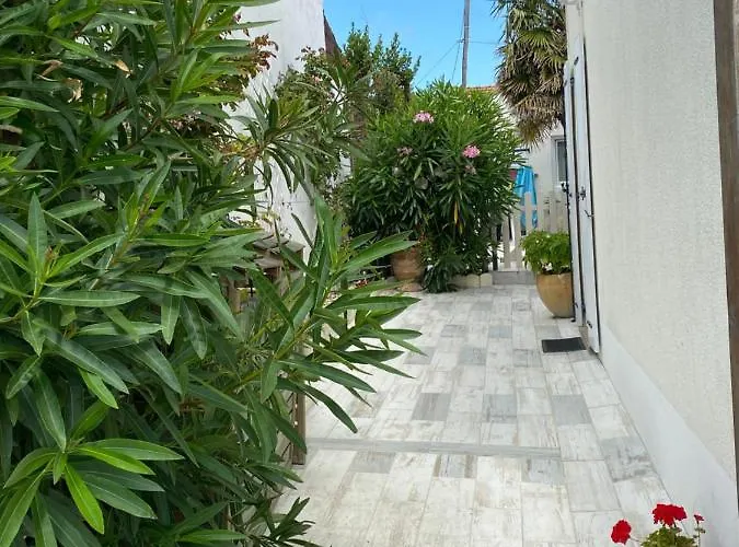 Le Palmier Holiday home *